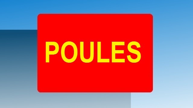 Poules